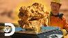 West Australian High Purity Rare Natural Pilbara Fine Gold Nuggets 20 Grams